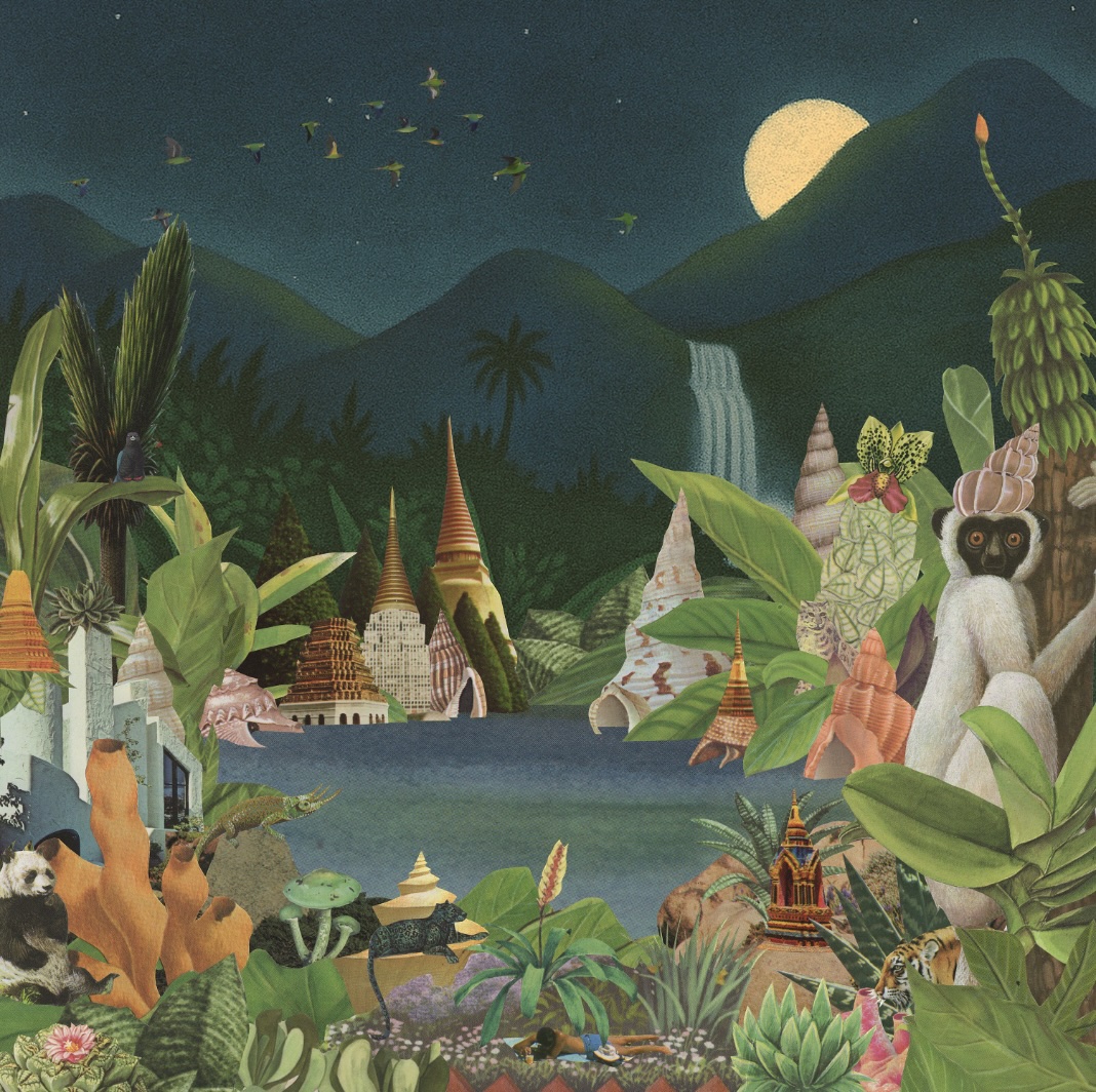 Monster Rally Announces First Non-Instrumental Album Feat. Jordana, TV Girl, Toledo, Mei Semones, & More