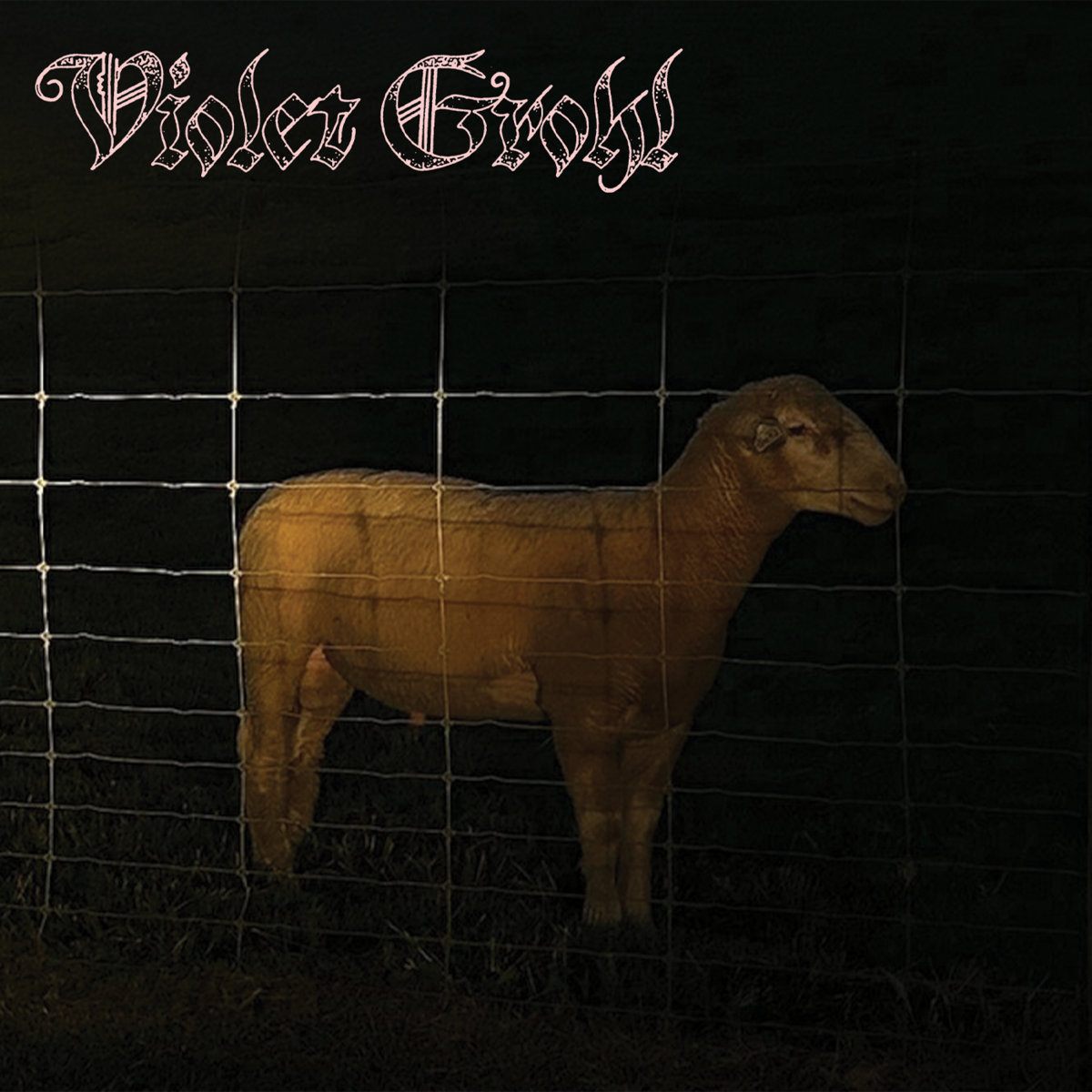 Violet Grohl Shares Debut Original Song “THUM”