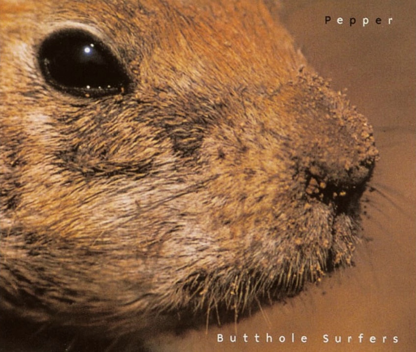 The Alternative Number Ones: Butthole Surfers’ “Pepper”