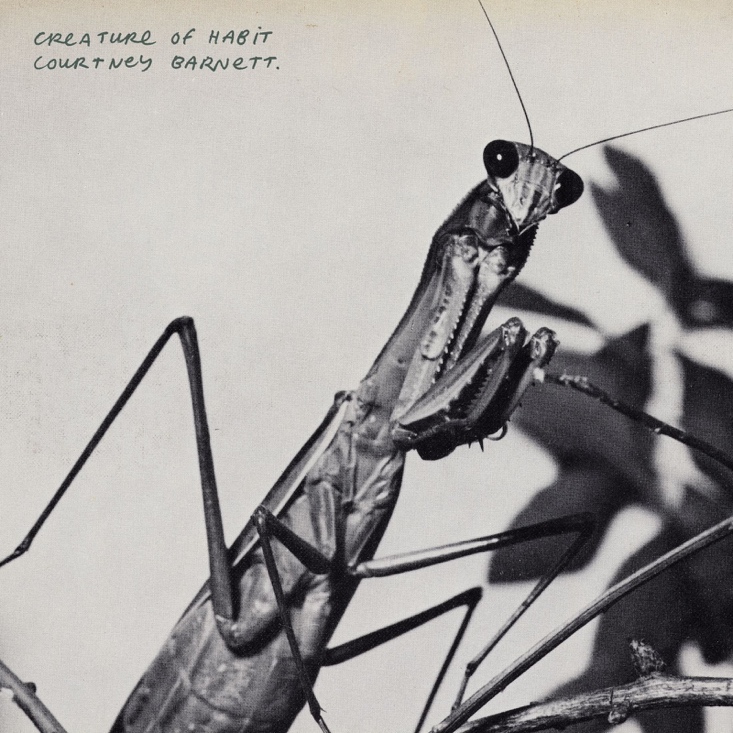 Courtney Barnett Announces New Album Creature Of Habit: Hear “Site Unseen” (Feat. Waxahatchee)