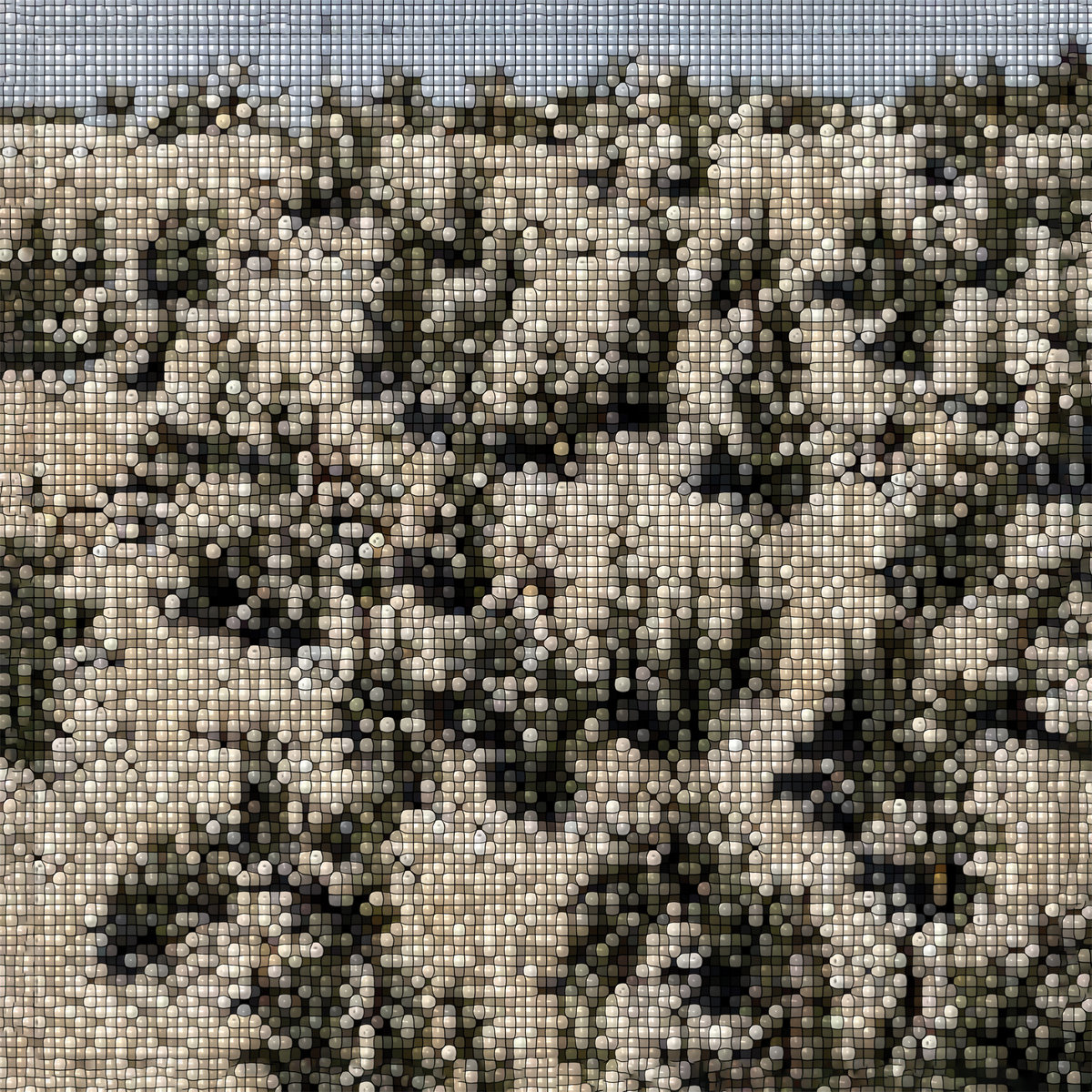 Gregory Uhlmann Announces New Album Extra Stars: Hear “Lucia” (Feat. Alabaster DePlume)