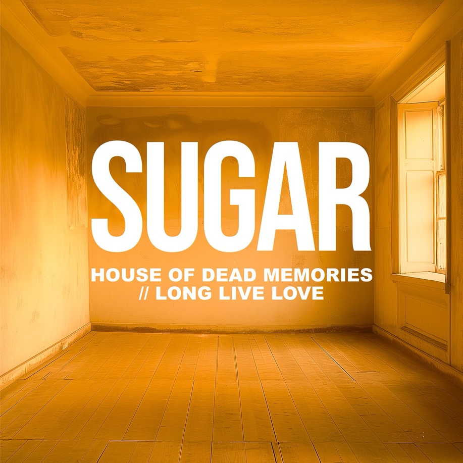 Sugar Announce Reunion Tour, Share New Song “Long Live Love”