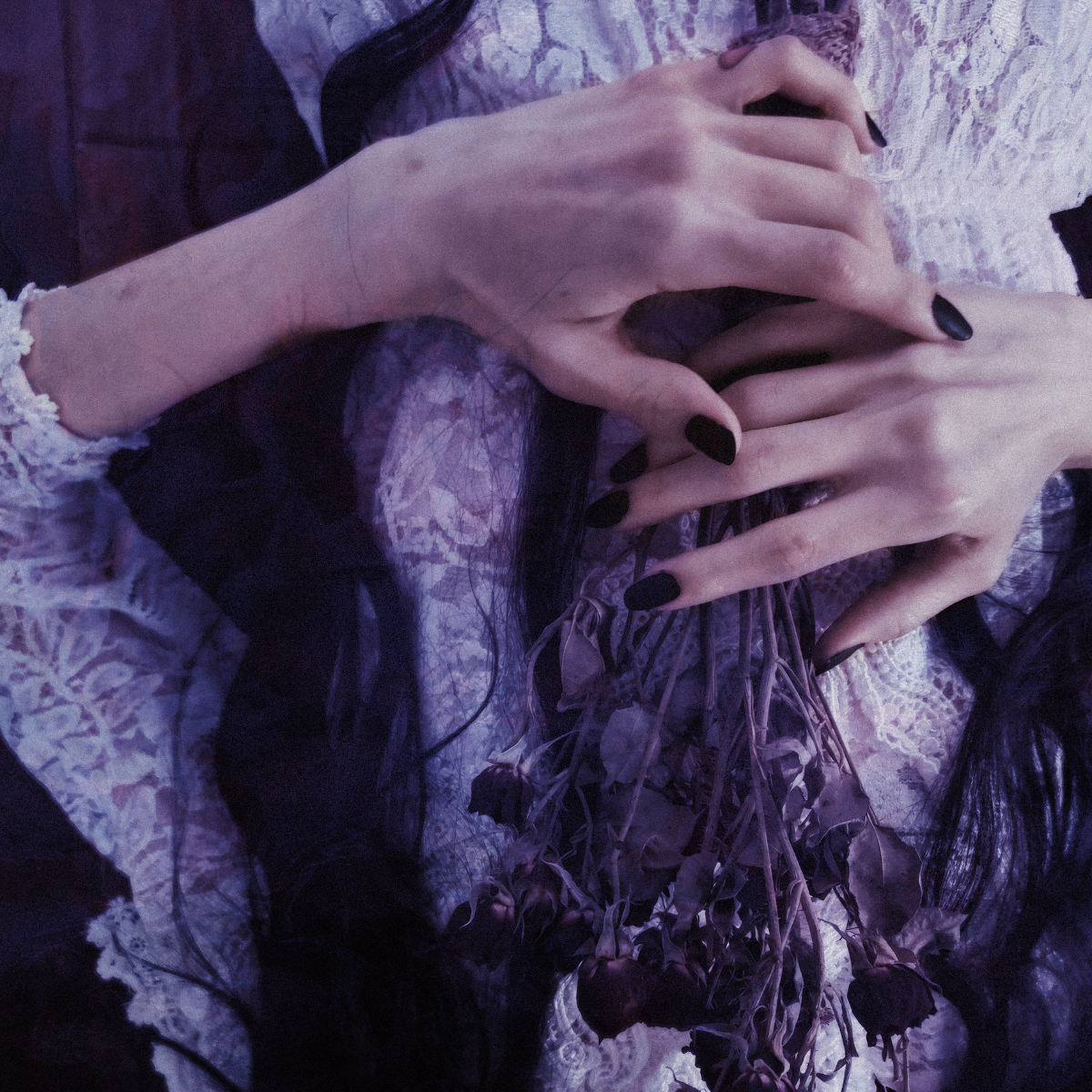 The Saddest Landscape Announce New Album Alone With Heaven Feat. Julien Baker, Jeremy Bolm, & Evan Weiss