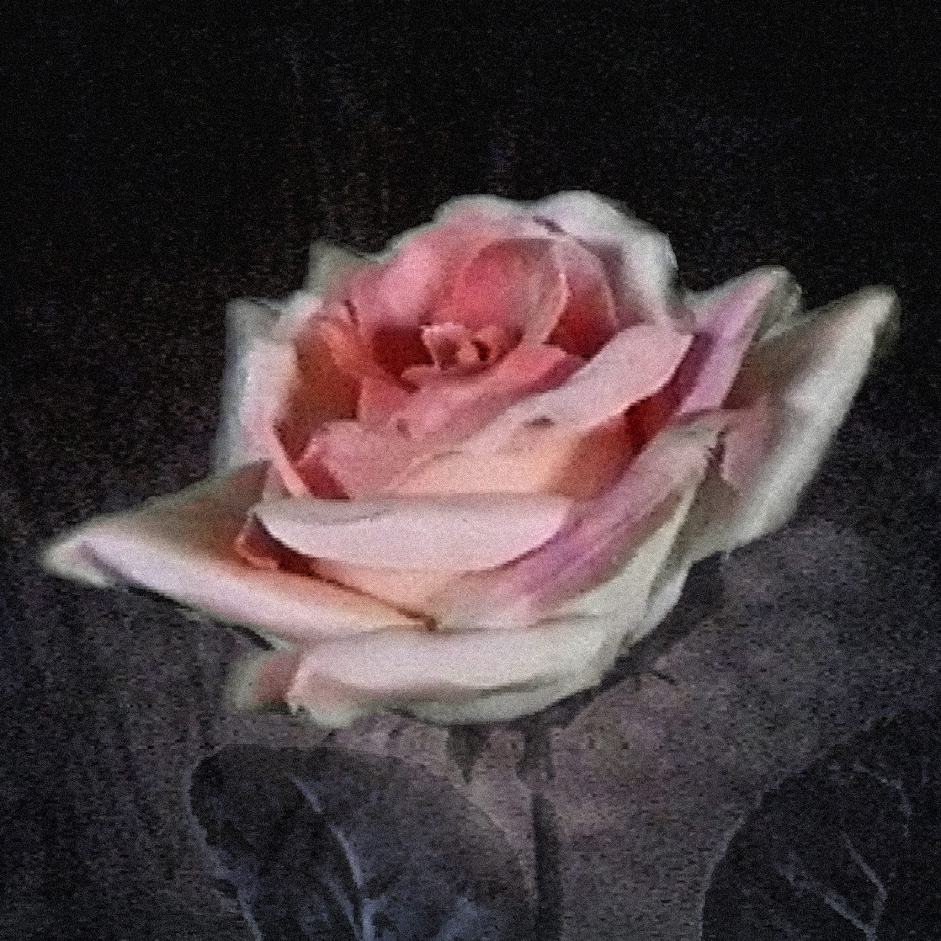 Pearly Drops – “Heaven”