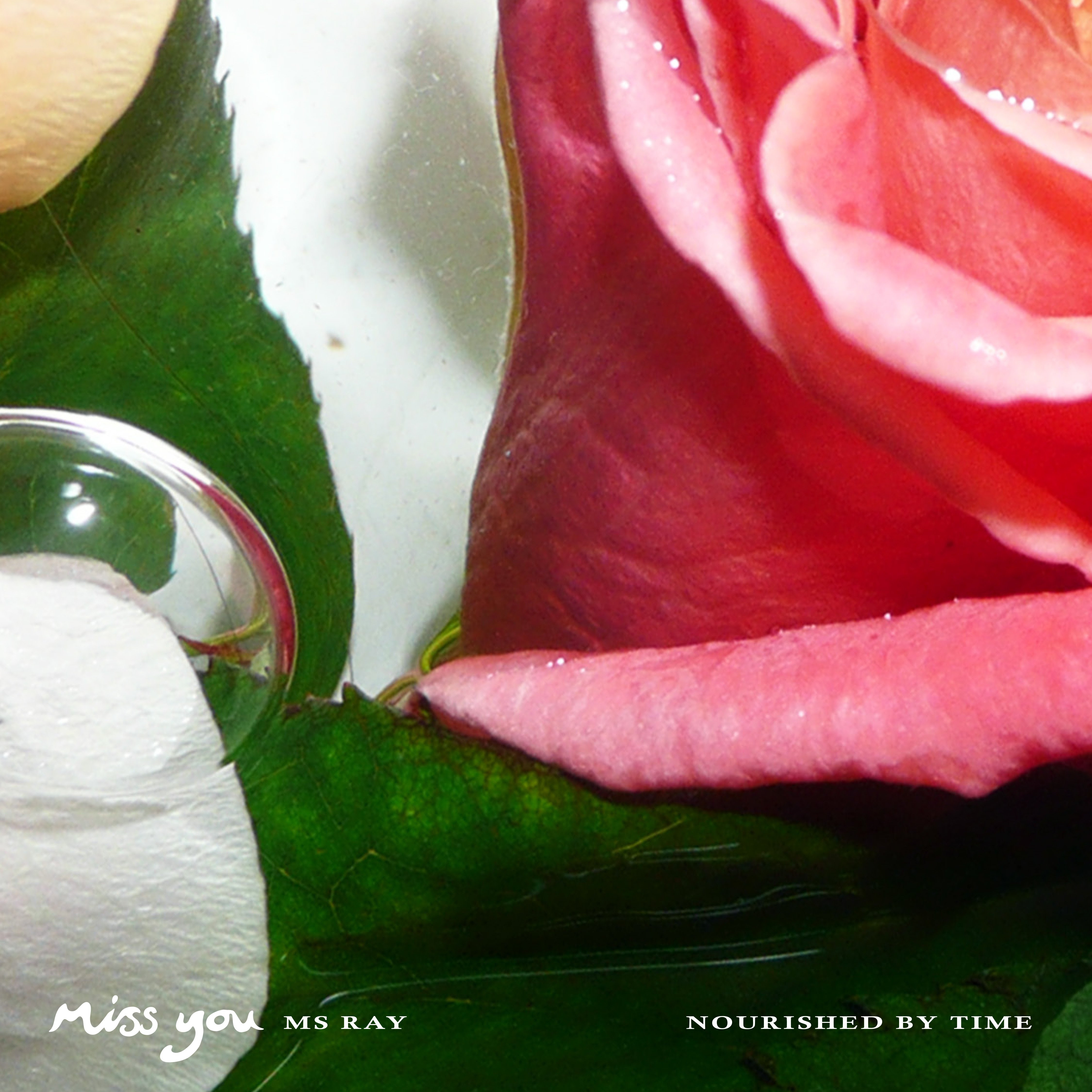 Ms Ray – “Miss You” (Feat. Nourished By Time)