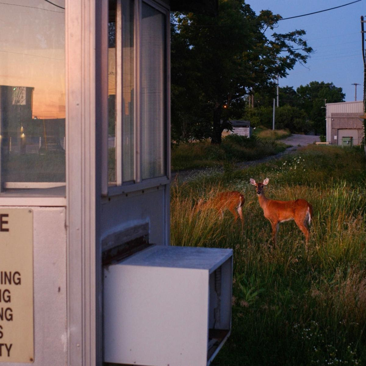 Yebba Announces New Album Jean: Hear “Yellow Eyes”