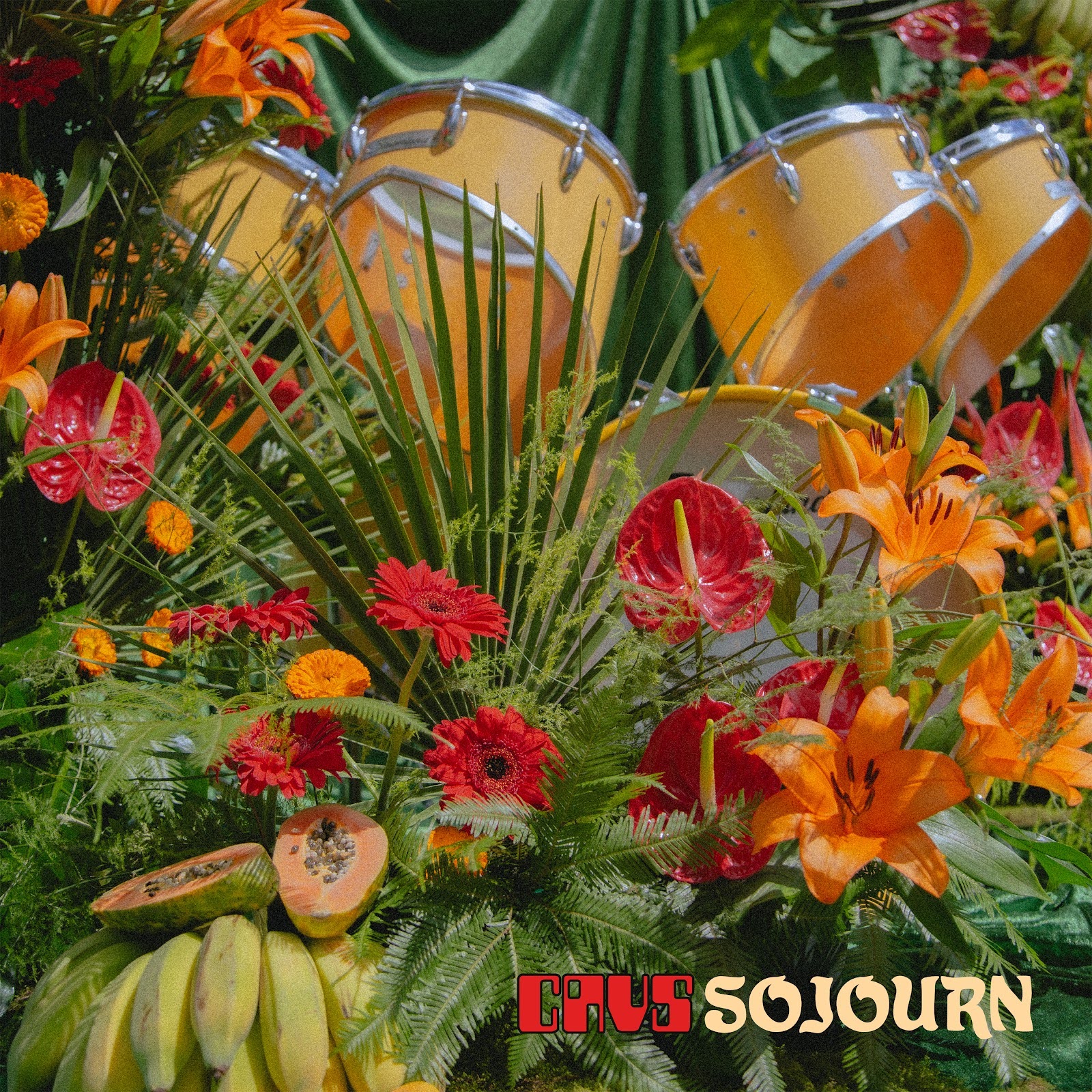 King Gizzard & The Lizard Wizard Drummer CAVS Announces New Solo Album Sojourn: Hear “Candiru”