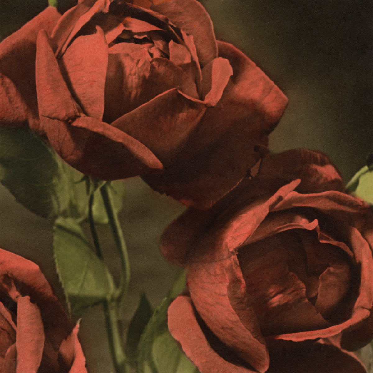 Cindy Announce New Album Another Country: Hear "Procession"