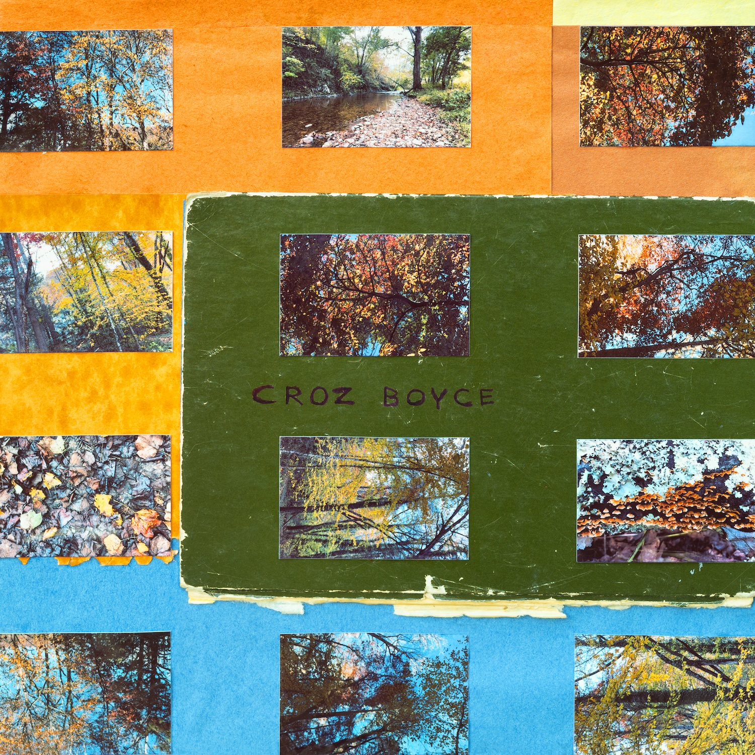 Animal Collective Members Launch New Side Project Croz Boyce