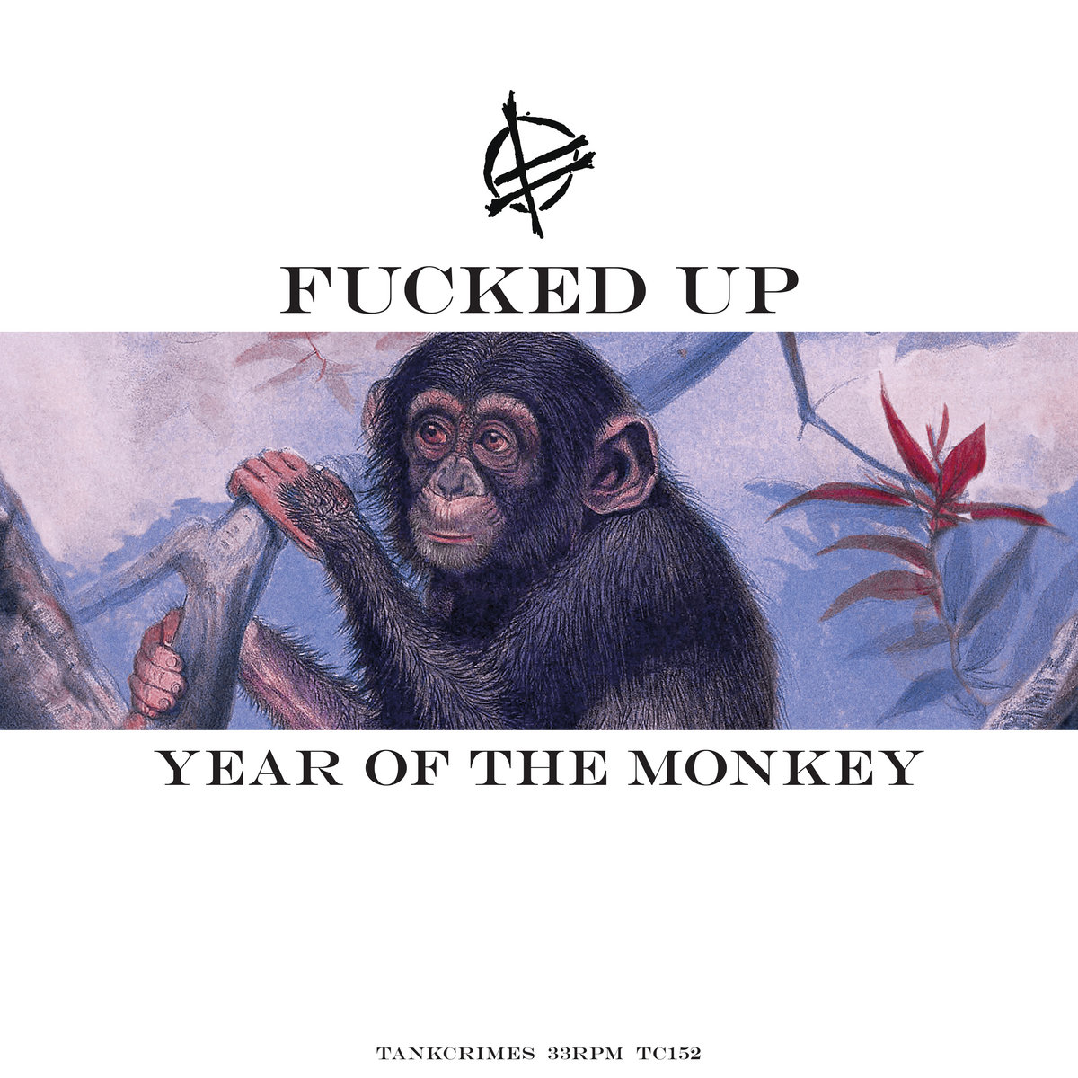 Fucked Up Announce Year Of The Monkey, Share Two Half-Hour Tracks