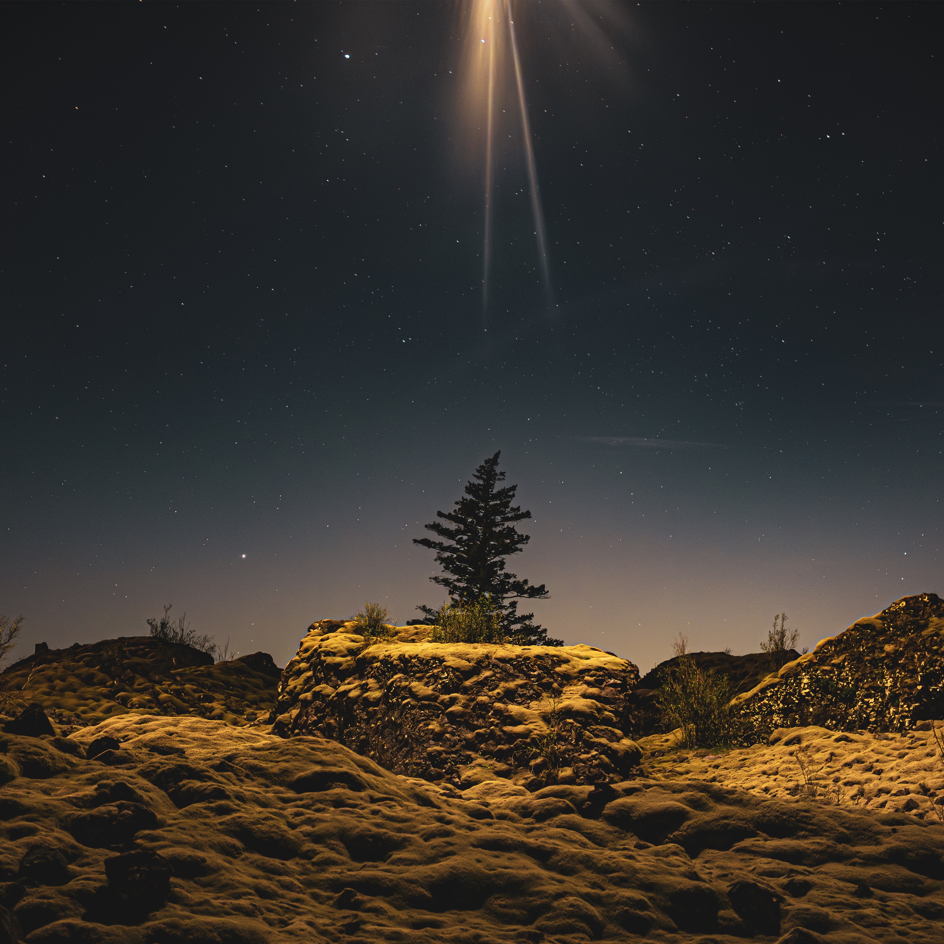 Hammock’s New Single May Be The Last Time We Hear The Flaming Lips’ Wayne Coyne & Steven Drozd Together