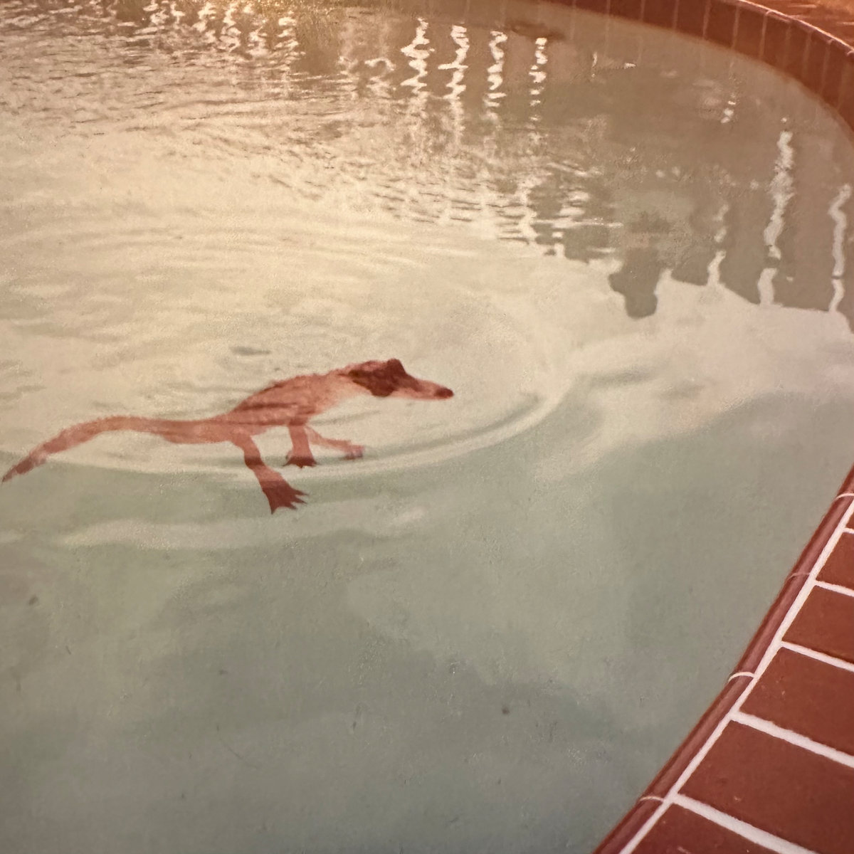 Deloyd Elze’s Deconstructed Country Ballads Sound Splendid On The New Nellene EP