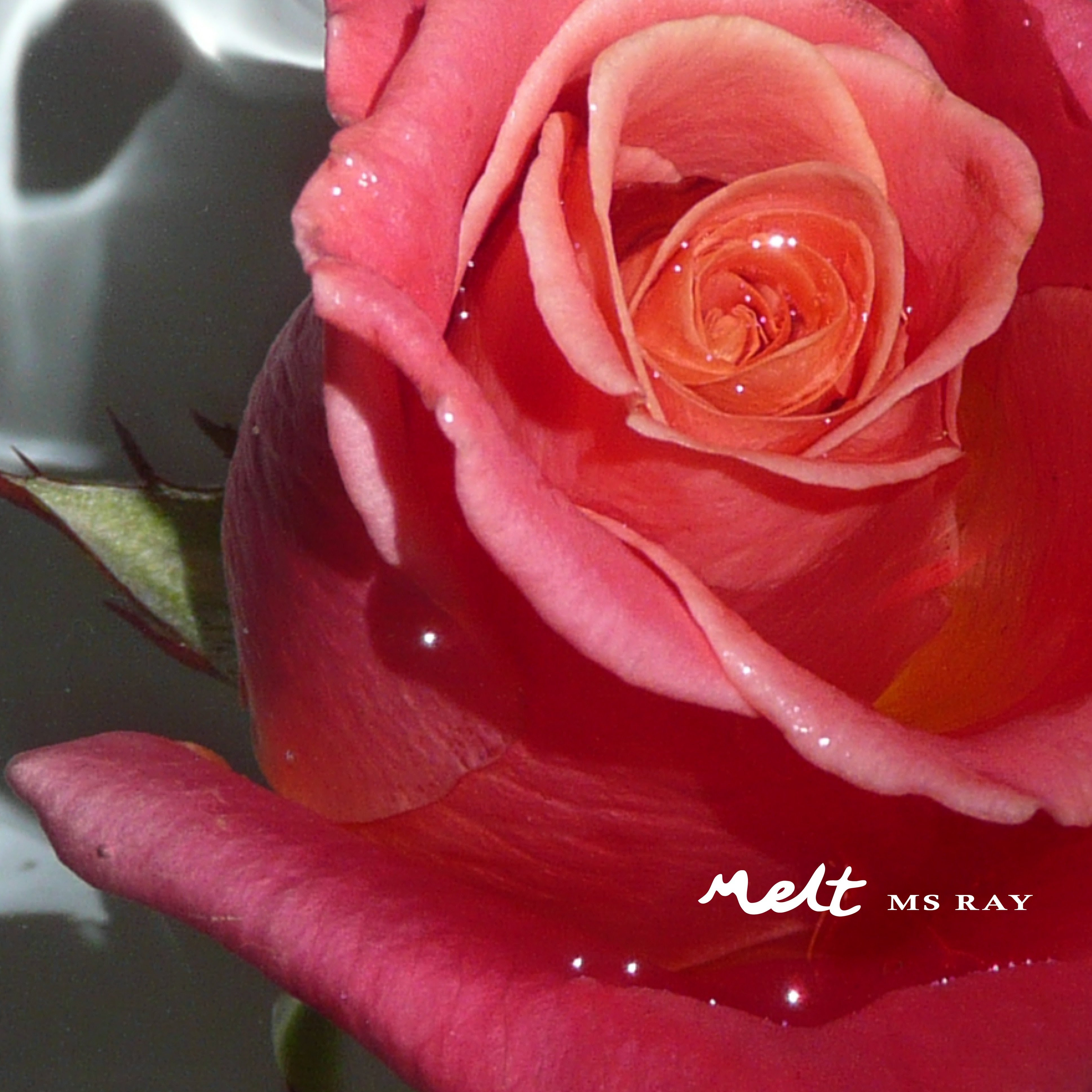 Listen To Ms Ray’s Splendid Melt EP