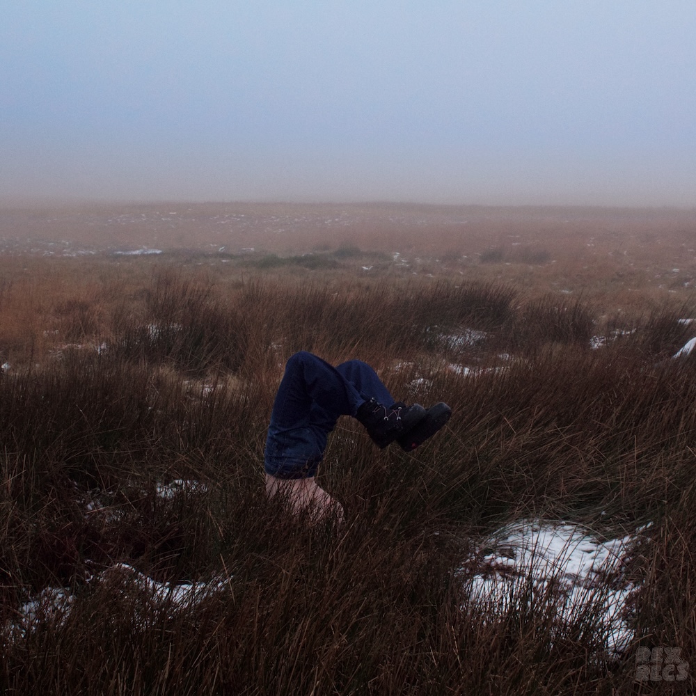 thistle. – “pylon”