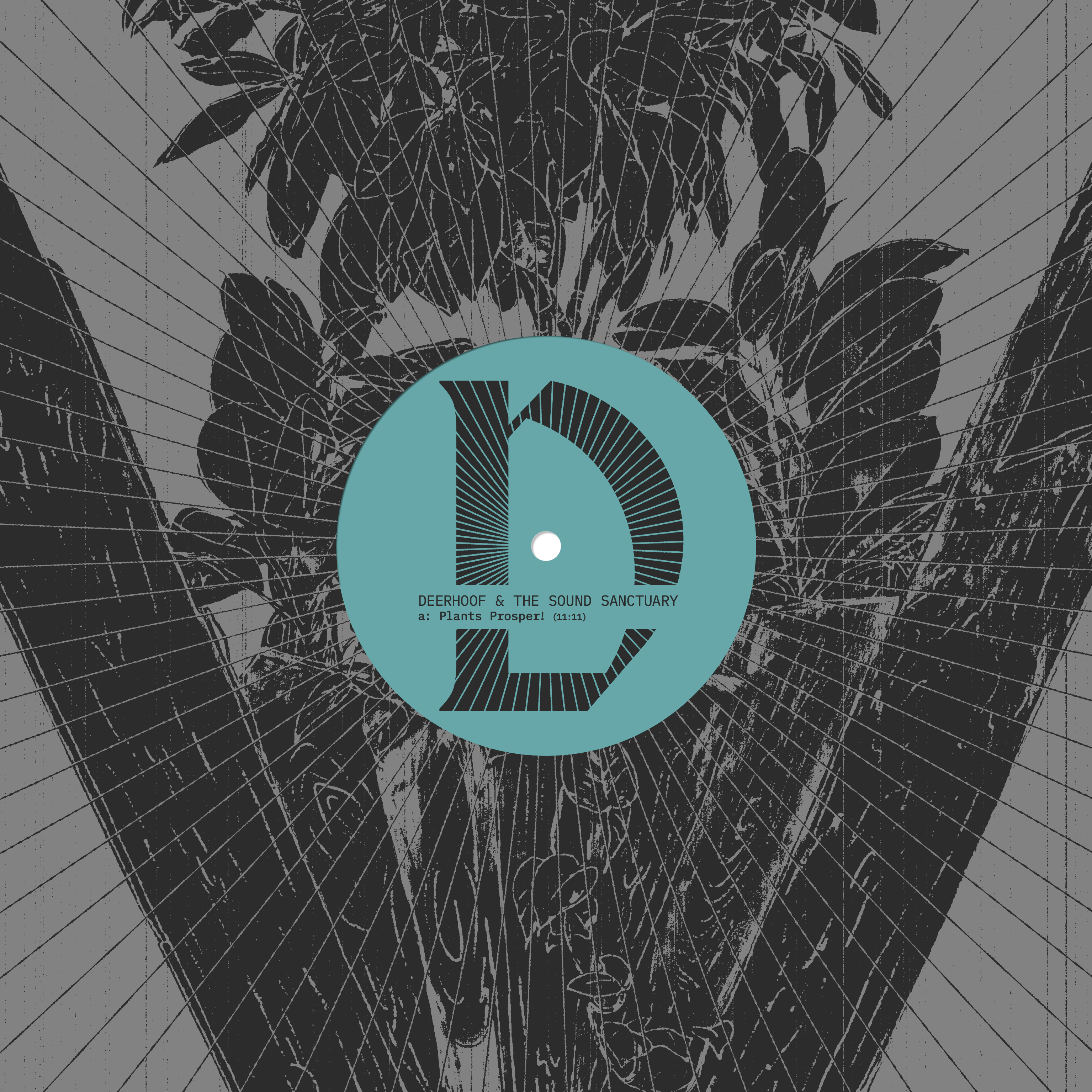 Joyful Noise Office Plants Release Debut Single With Deerhoof