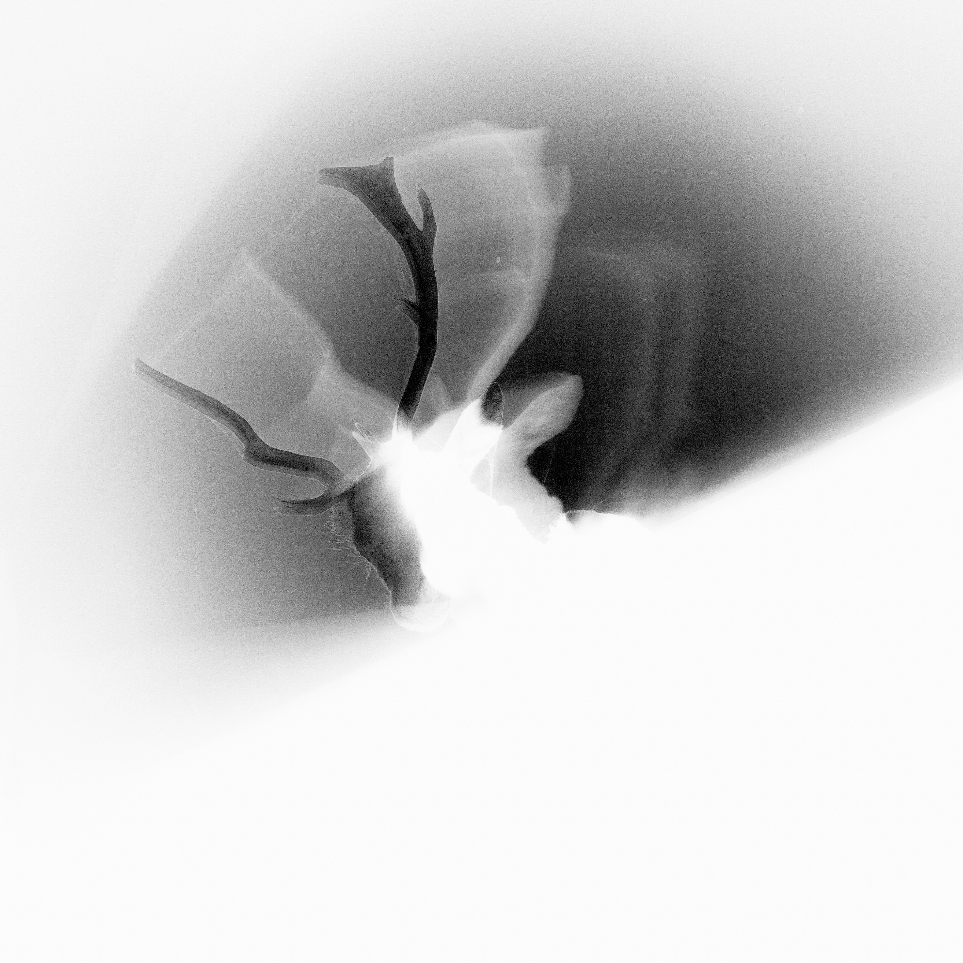 Nerves Share New Single 'N26': Listen