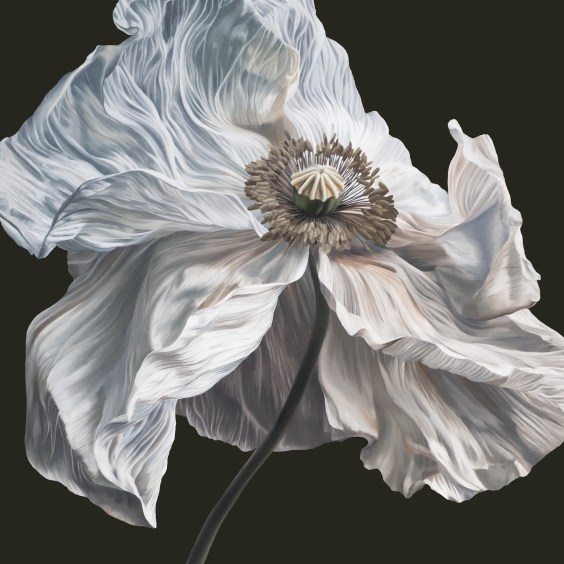 Quicksand Announce New Album Bring On The Psychics: Hear Two Songs