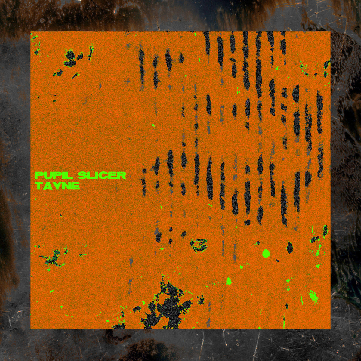 Pupil Slicer & Tayne – “W.N.”