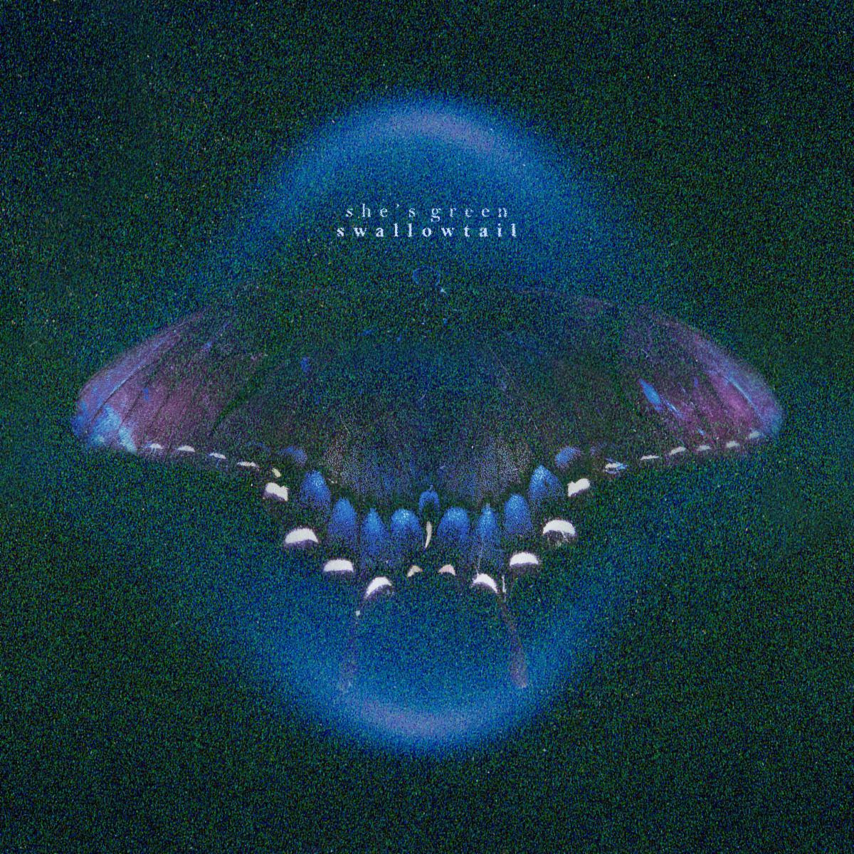 she's green Announce New EP 'Swallowtail': Hear 'Paper Thin'