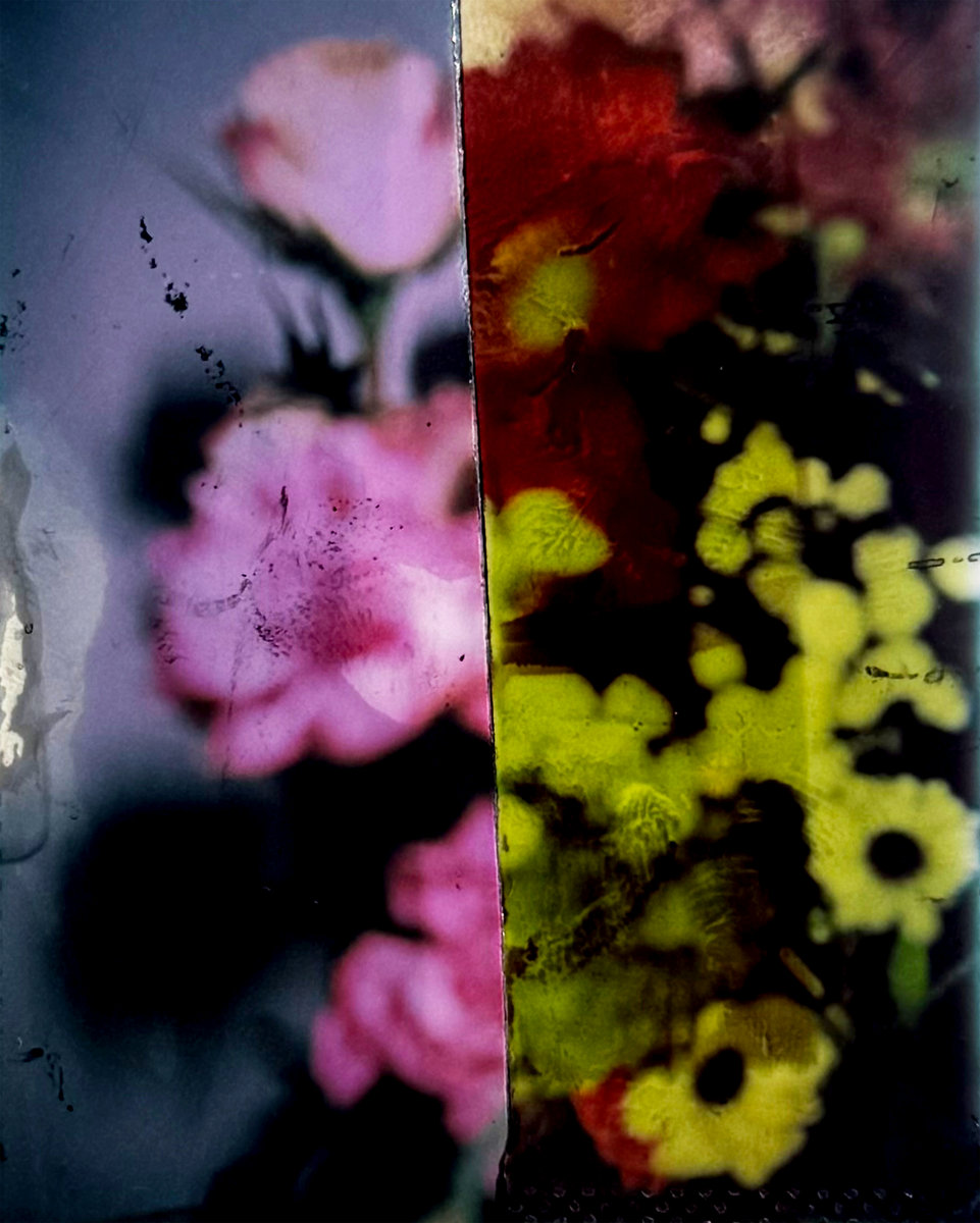 Welcome Strawberry Share Surprise New EP Floral Arrangements