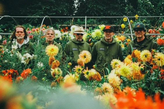 Super Furry Animals Announce First Reunion Show in Ten Years