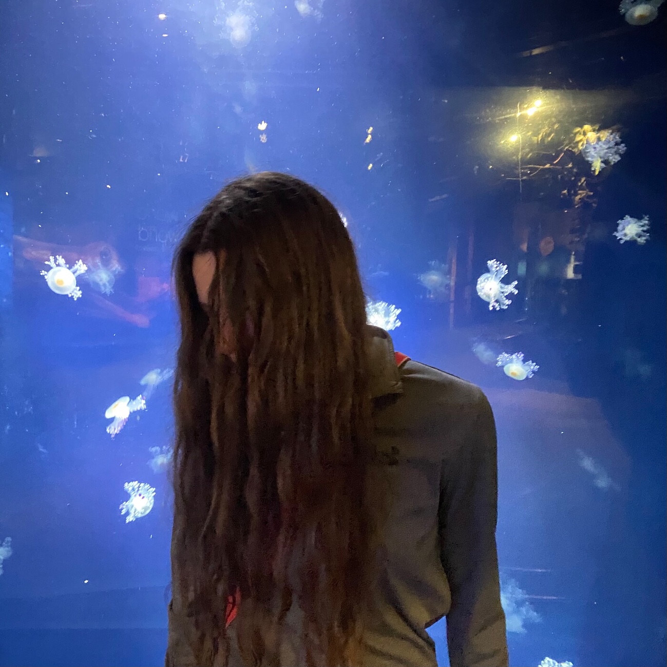Sophia Stel Drops Hypnotic New Track, Fans Go Wild! — photo 3