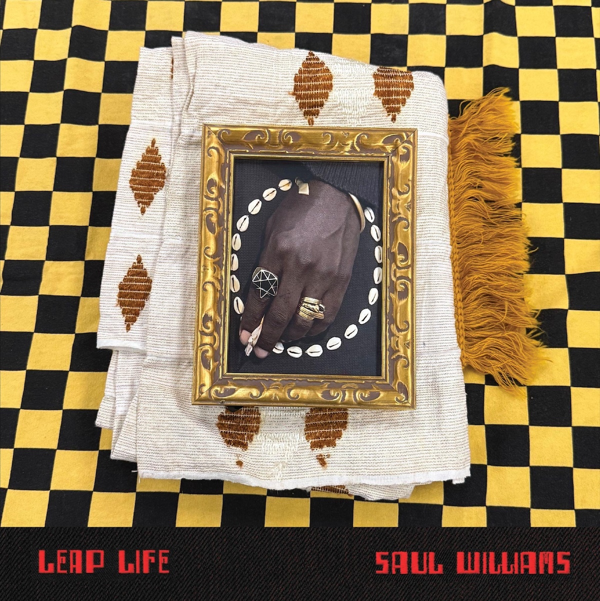 Saul Williams Drops Album of the Year Contender Leaf Life! — photo 3
