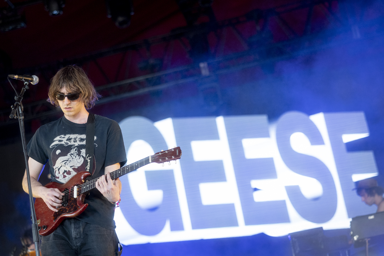 Geese — photo 3