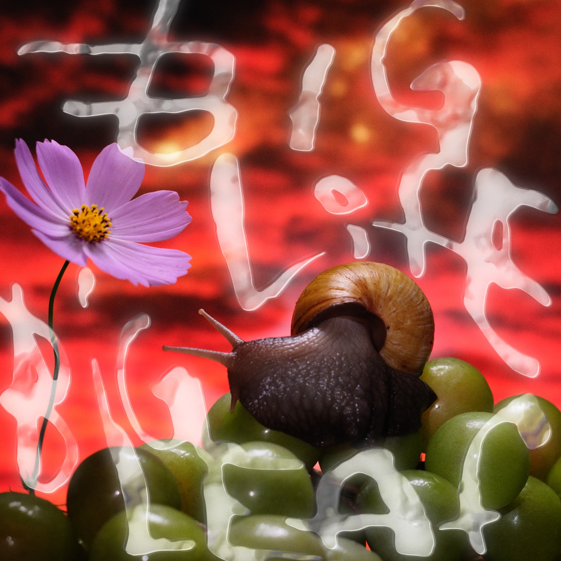 No Joy & Fire-Toolz Announce New EP Big Life, Big Leaf: Hear The Title Track
