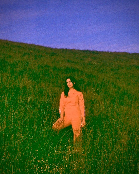Spacemoth – “Telepathic Butterflies” image