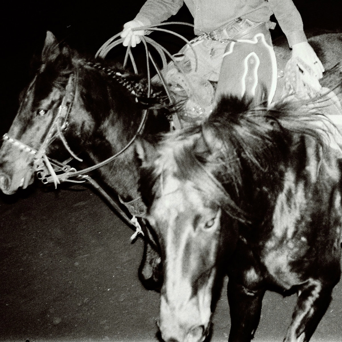 Holy Motors Drops New Album Info With "Tough Crush" Release — photo 3