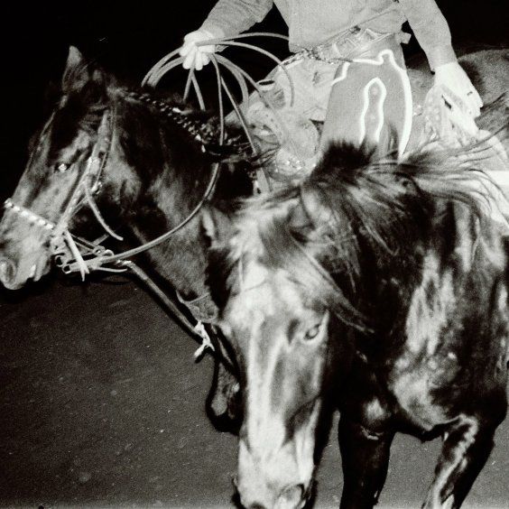 Holy Motors Announce New Album Heaven’s Night: Hear “Tough Crush” image