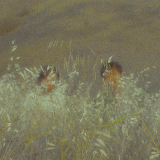 Hand Habits & Emile Mosseri Cover Ani DiFranco On New EP Your Lemon image
