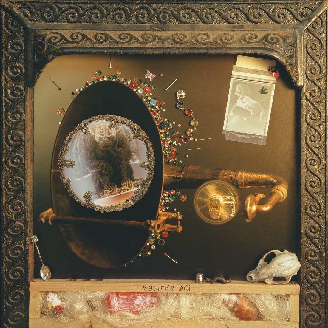 Wishy Announce New Album Nature’s Pill: Hear “Lovesick”