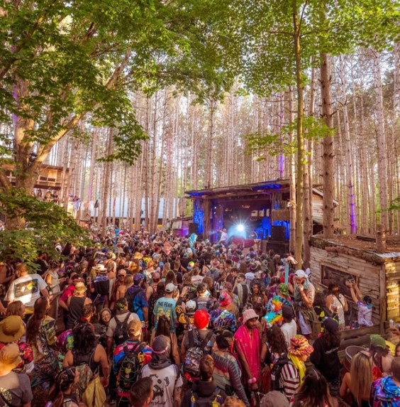 Police Investigating Dead Newborn Found In Porta-Potty At EDM Festival Electric Forest image