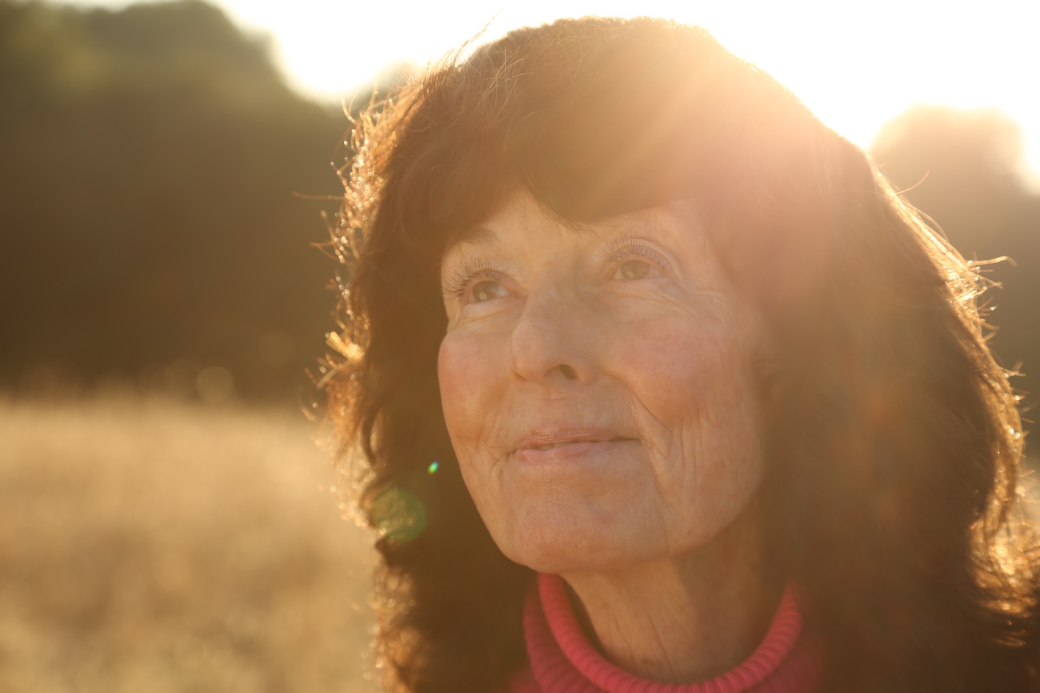 Linda Perhacs Reported Missing
