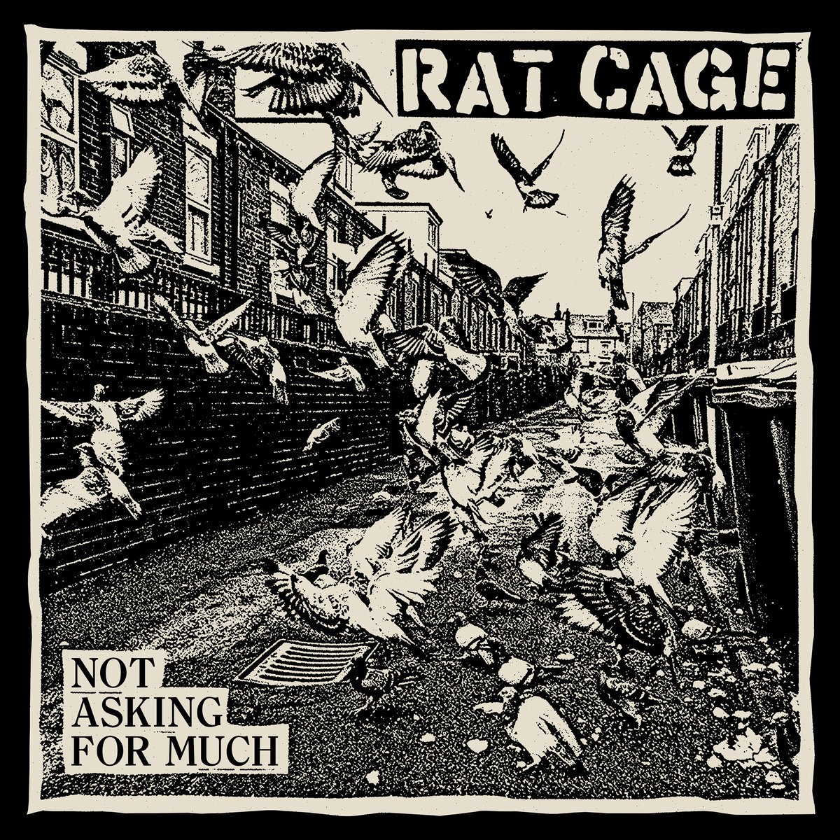 Rat Cage Announce New Album Not Asking For Much: Hear “Steady On Now”