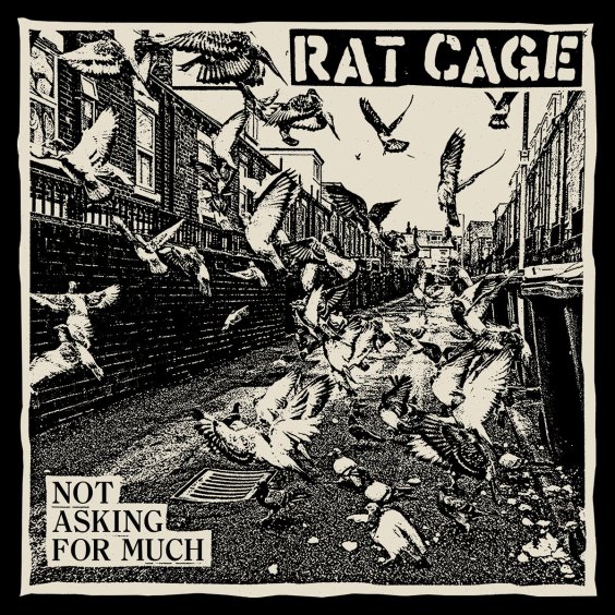 Rat Cage Announce New Album Not Asking For Much: Hear “Steady On Now” image
