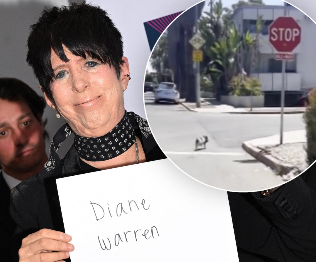 Diane Warren Attempts 18th Oscar Nomination, Adopts 2nd Viral Runaway LA Farm Animal