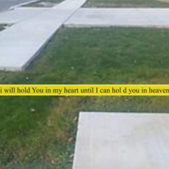 Stream Eev Frances’ Impressive IDM/Ambient Album i will hold You in my heart until I can hol d you in heaven
