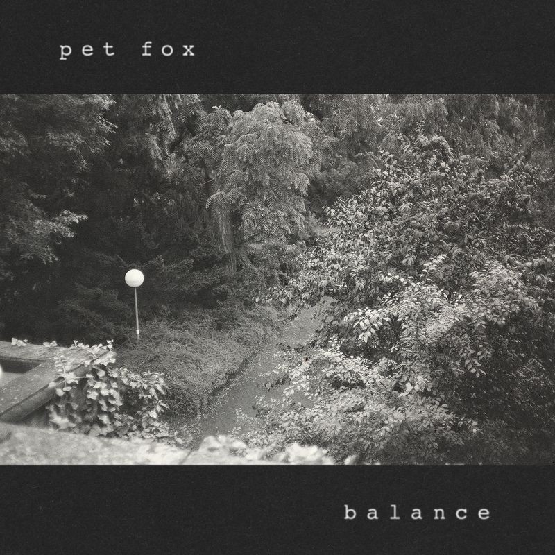 Pet Fox Announce New Album Balance: Hear The Title Track