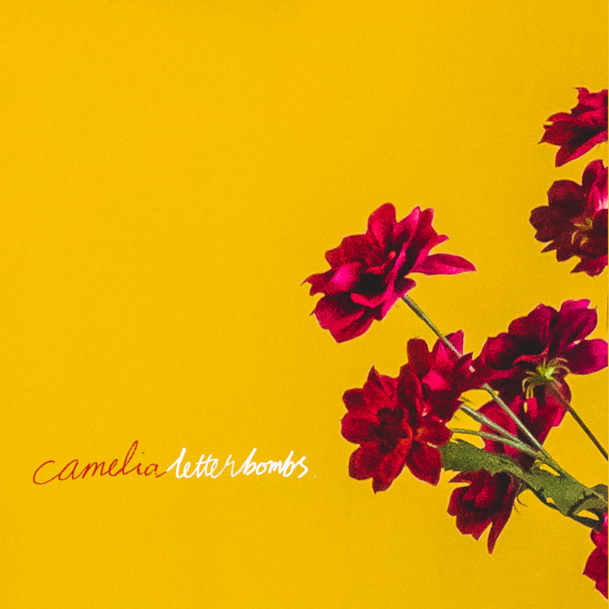Letterbombs – “I’m Not Here To Enjoy My Life”