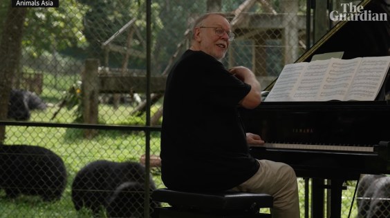 Rick Wakeman Concert for 150 Rescued Moon Bears in Vietnam