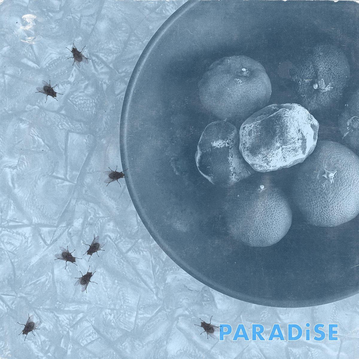 Cell Rot Announce New Album Paradise: Hear “Paradise/Parasite II”