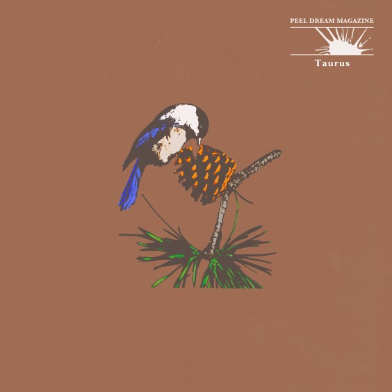 Peel Dream Magazine Announces Expanded Taurus Edition, Shares “Blind Faith”