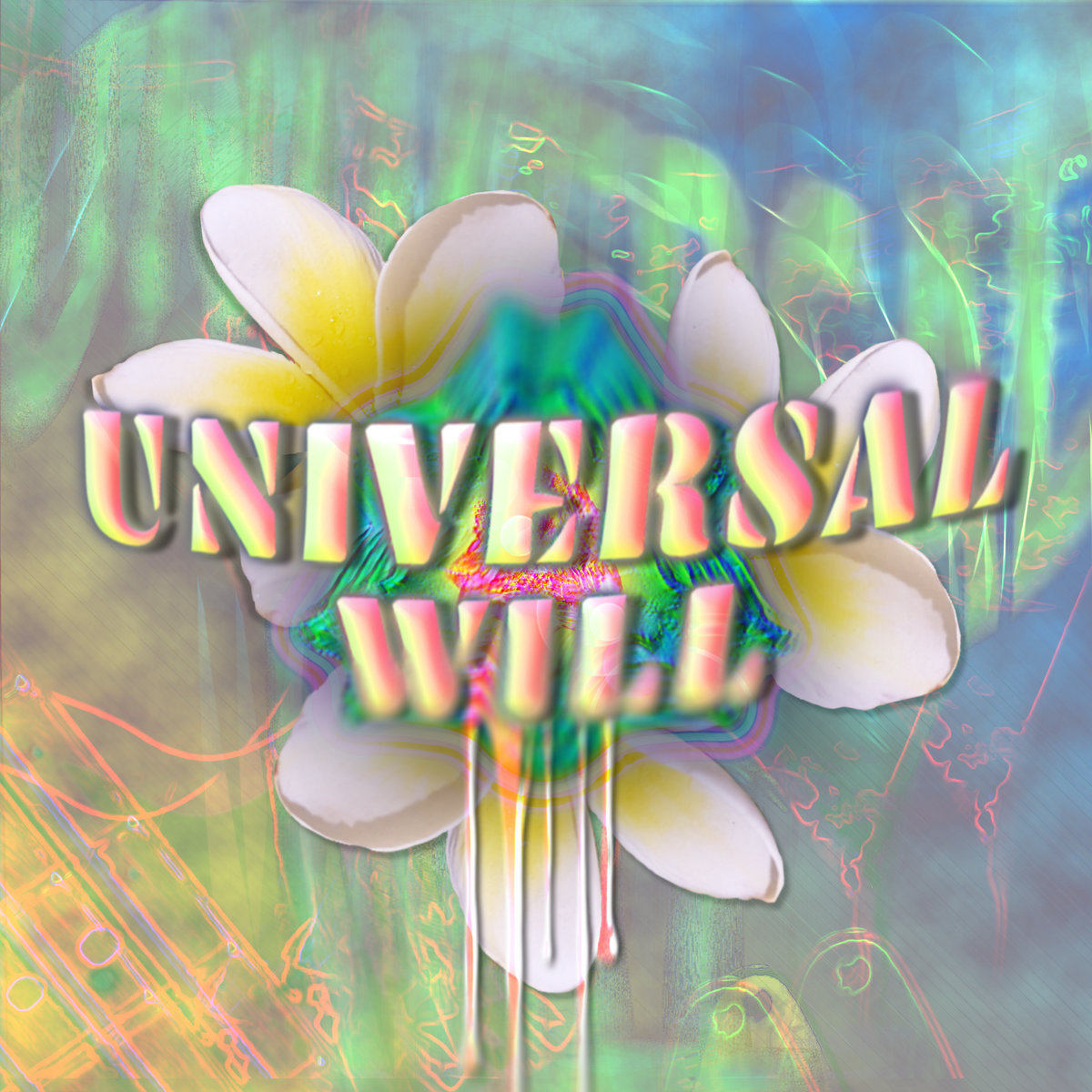 Katie Dey Announces New Album universal will: Hear “for you”